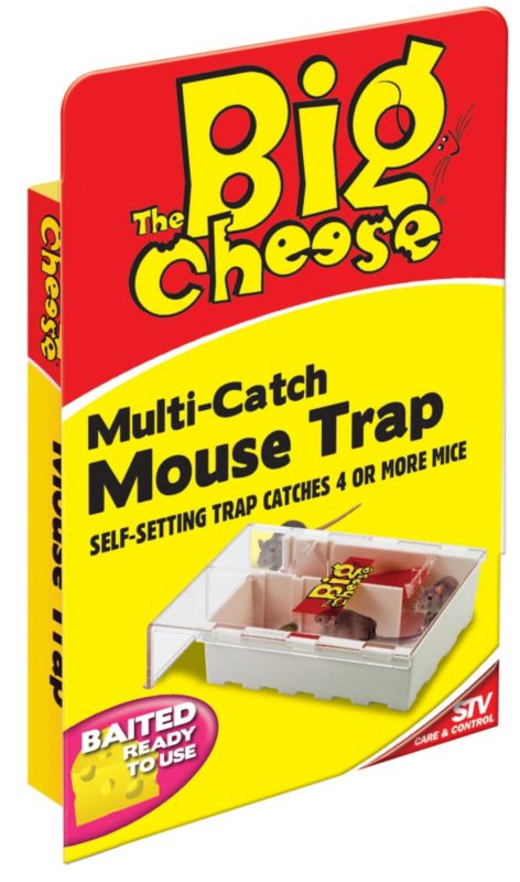 The Big Cheese Multi Catch Mouse Small
