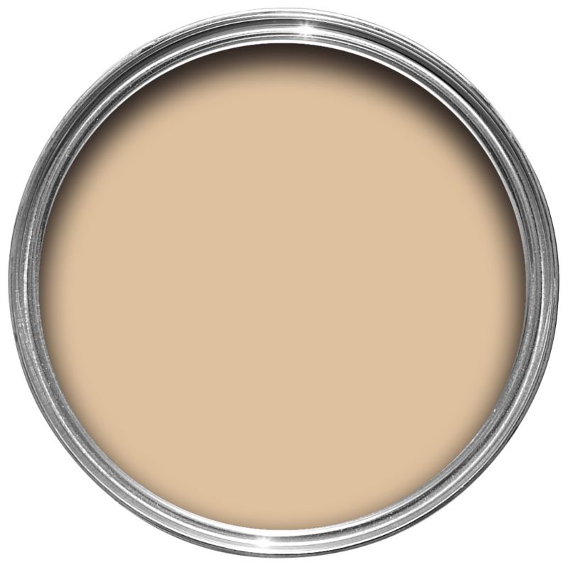 Opulence Emulsion Paint Champagne