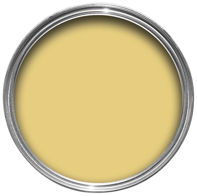 Fired Earth Emulsion Paint Aconite Yellow