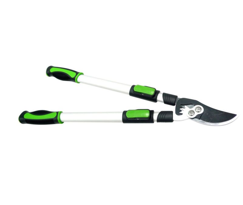 Verve Premium Telescopic Bypass Lopper