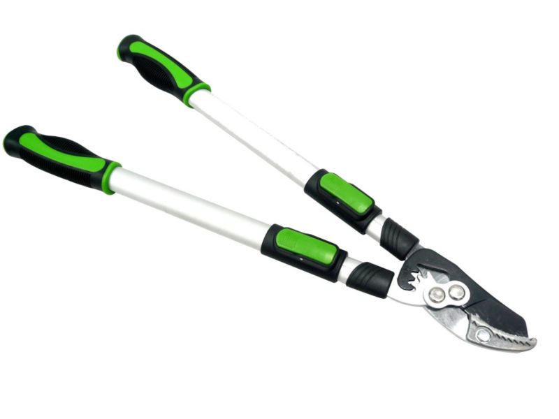 Verve Premium Telescopic Anvil Lopper