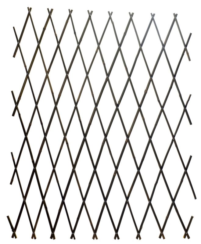 Expanding Bamboo Trellis L18m x W09m