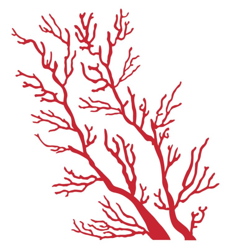 Flock Coral Wallsticker Red 70X100Cm - Product image.