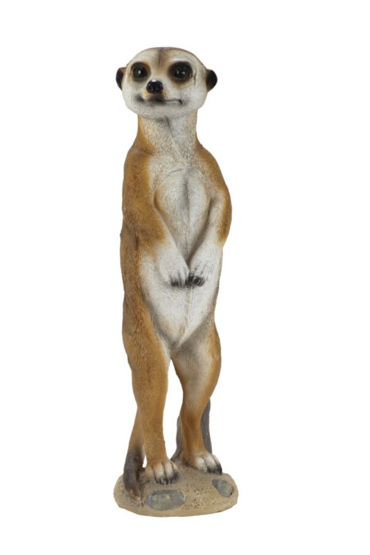 Polystone Meerkat Right