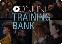 Online-Trainings-Bereich